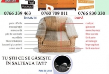 Spalatorie Curatatorie Tecuci Spalatorie Covoare Tecuci - LAVANDERIA ALEROX 