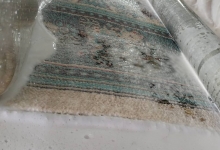 Spalatorie Curatatorie Suceava Spalatorie Curatatorie Covoare Suceava - PERSAN CLEANING